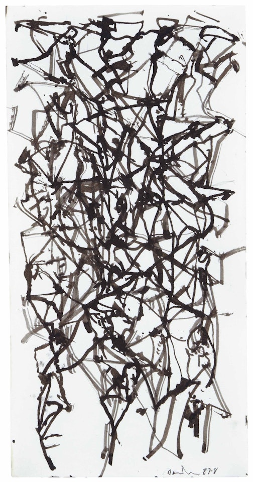 Hydra by Brice Marden