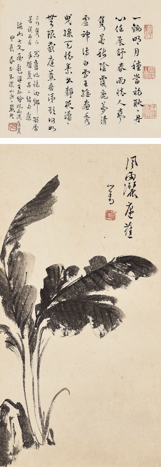 Plantain under Rain by Pu Ru