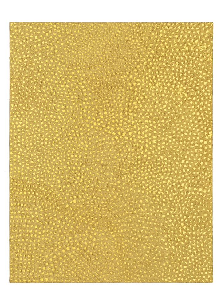Nets Infinity by Yayoi Kusama