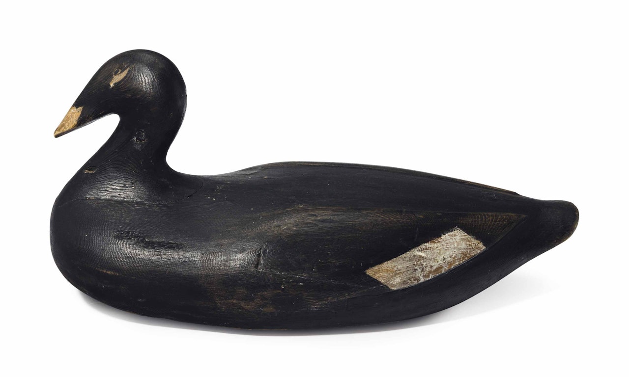 WHITE-WINGED SCOTER by Anonymous