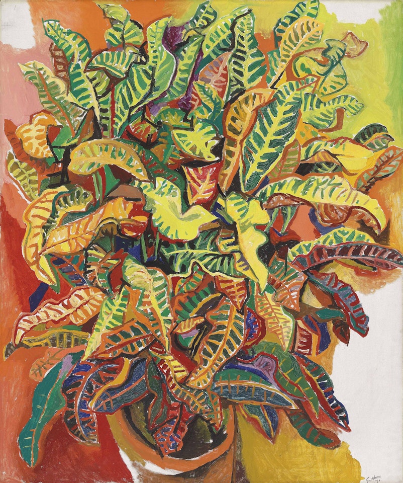 La pianta by Renato Guttuso