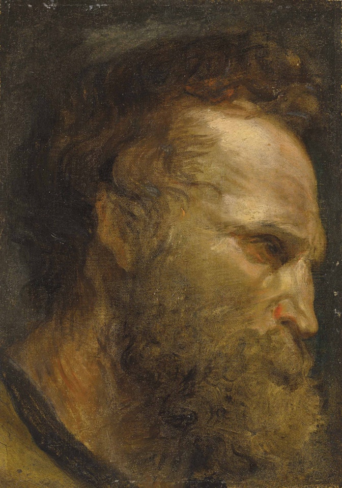 Head study of a bearded man by Anthony van Dyck
