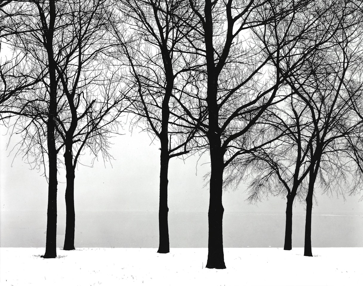 Chicago by Harry Callahan