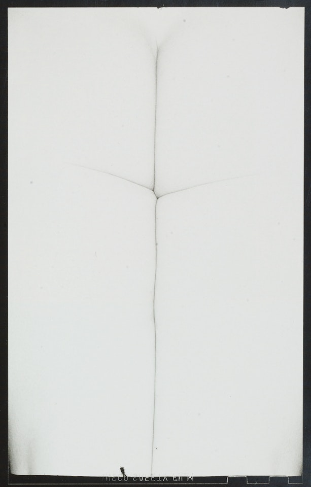 Eleanor, Chicago by Harry Callahan