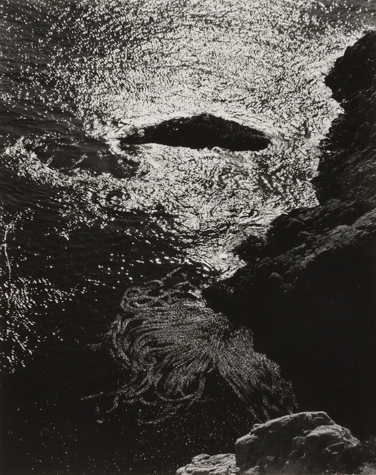 Kelp, China Cove, Point Lobos by Edward Weston