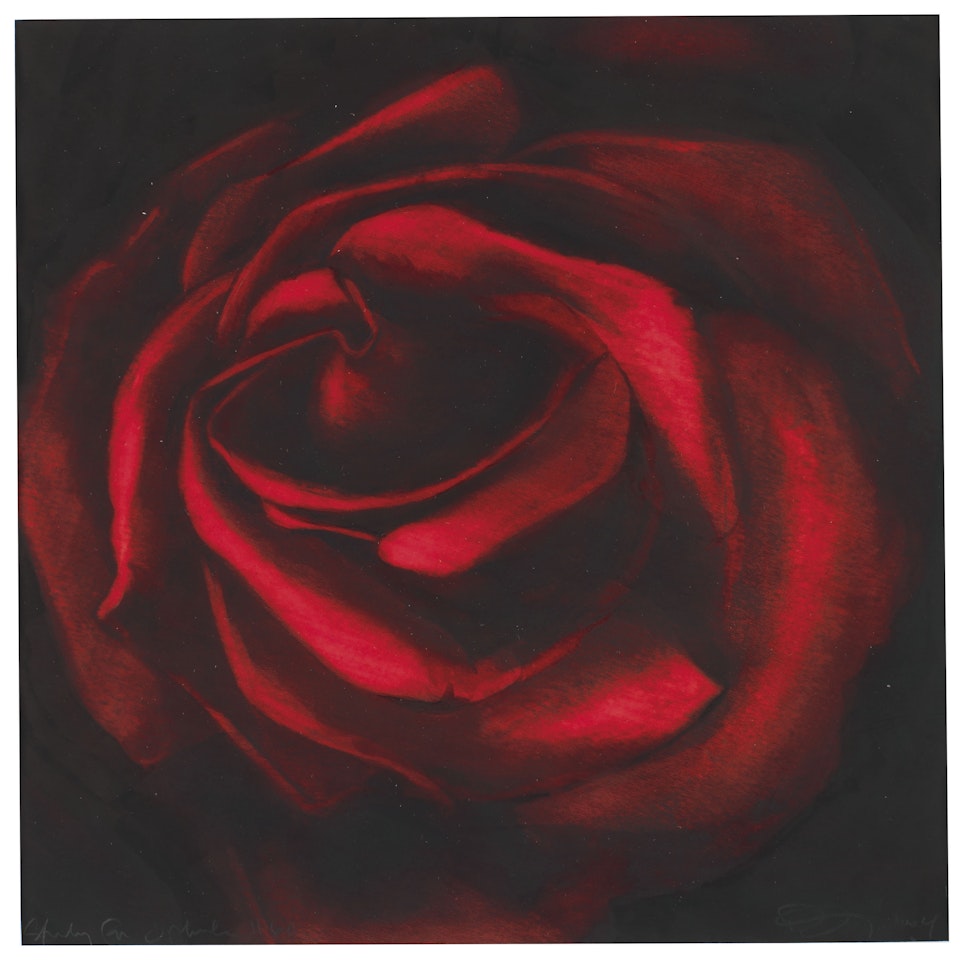 Study for Ophelia #6 by Robert Longo