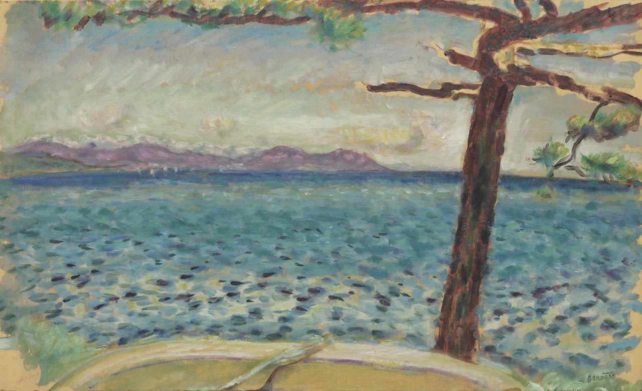 Le pin solitaire, bord de mer (esquisse) by Pierre Bonnard