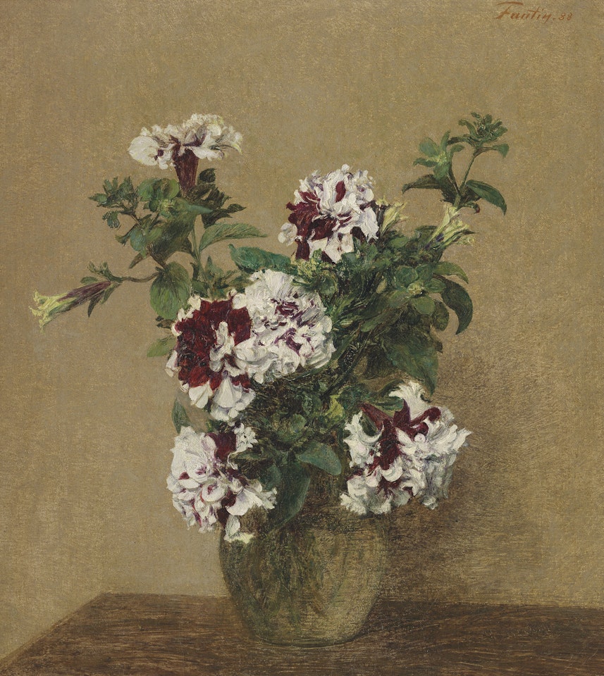 Pétunias doubles by Henri Fantin-Latour