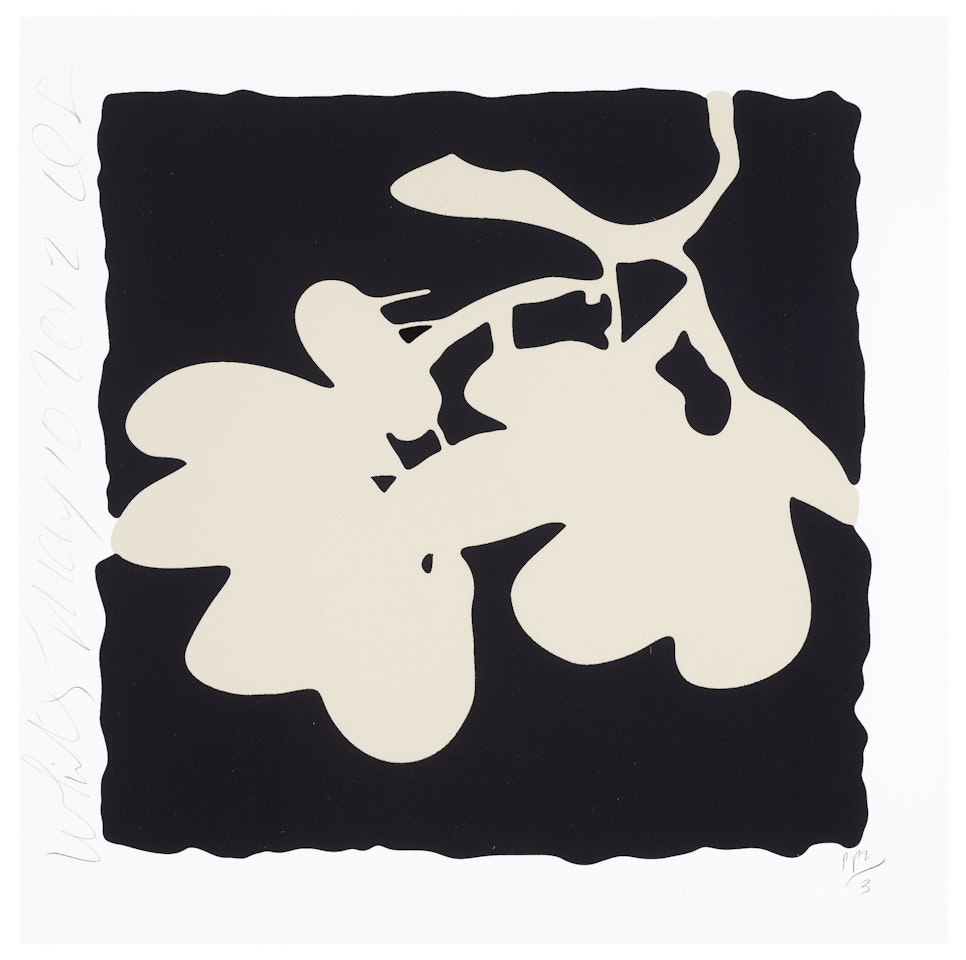 White, May 10, 2012, from Lantern Flowers by Donald Sultan