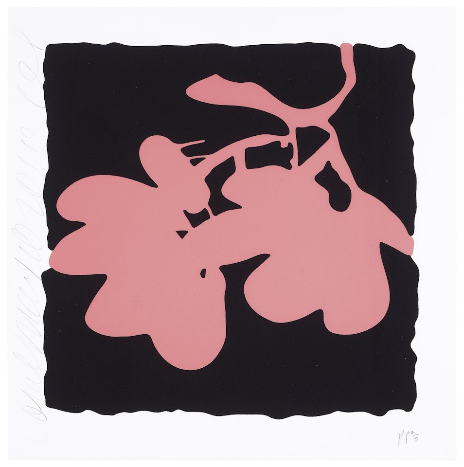 Coral, May 10, 2012, from Lantern Flowers by Donald Sultan