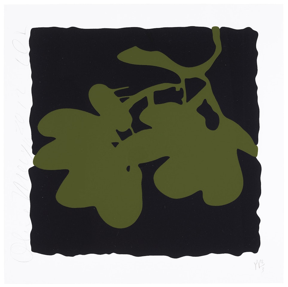 Olive, May 10, 2012, from Lantern Flowers by Donald Sultan