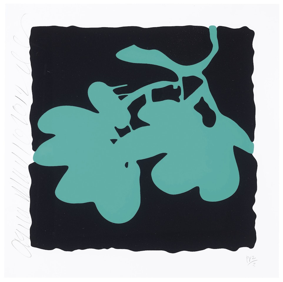 Aqua, May 10, 2012, from Lantern Flowers by Donald Sultan