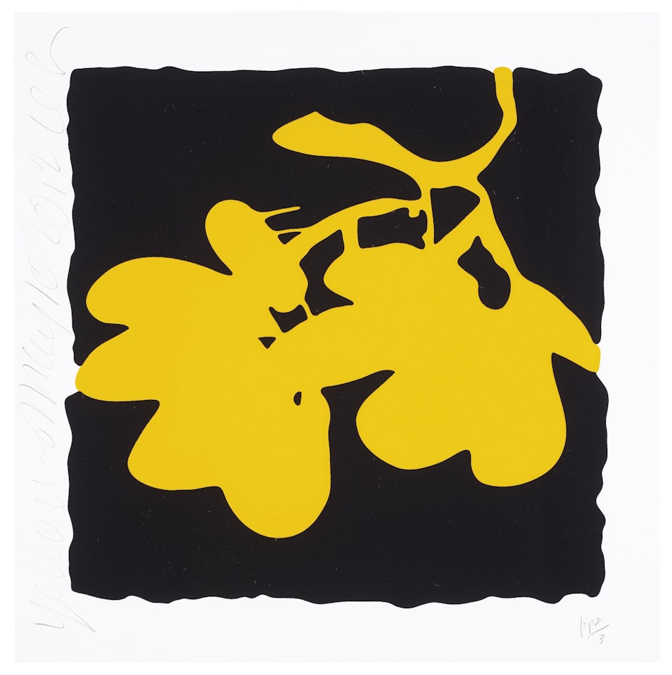 Yellow, May 10, 2012, from Lantern Flowers by Donald Sultan