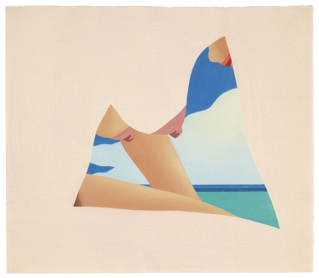 Seascape Dropout by Tom Wesselmann