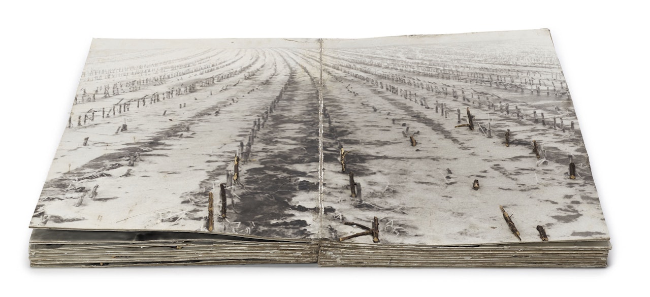 Was Sagte Odin zum Toten Balder by Anselm Kiefer