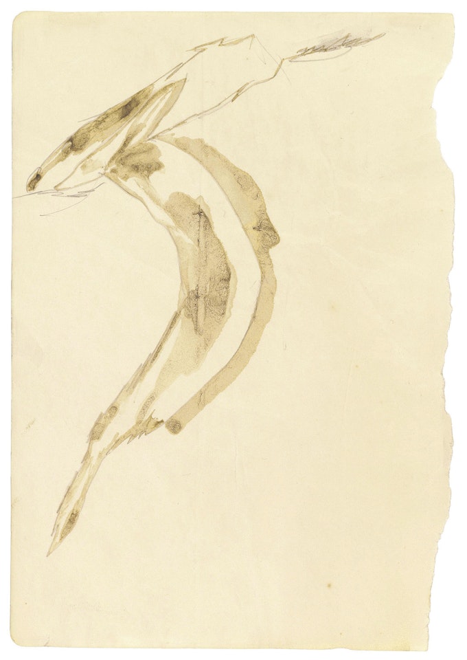 Angstsprung des elektrisierten Fuchses (The Electrified Fox Jumping in Fear) by Joseph Beuys