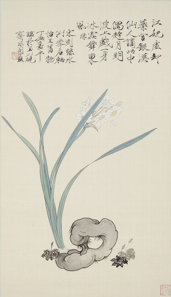 NARCISSUS AND ROCK by Yu Fei'an