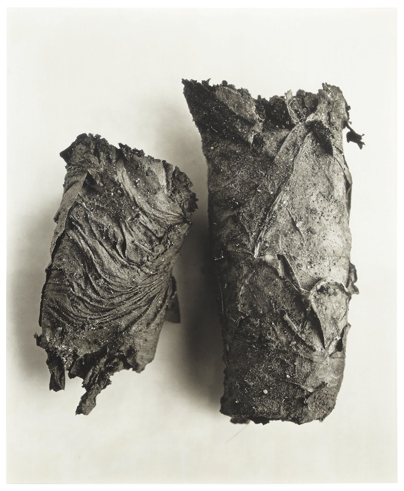 Cigarette no. 69, New York, 1972 by Irving Penn