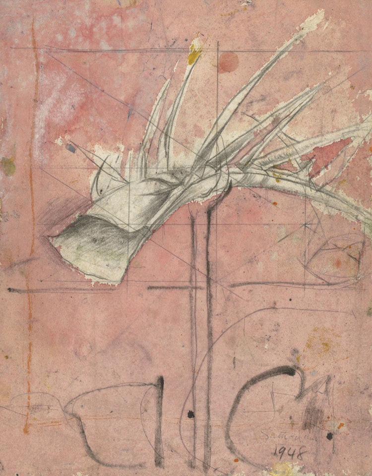 Thornhead on Pink Ground by Graham Sutherland