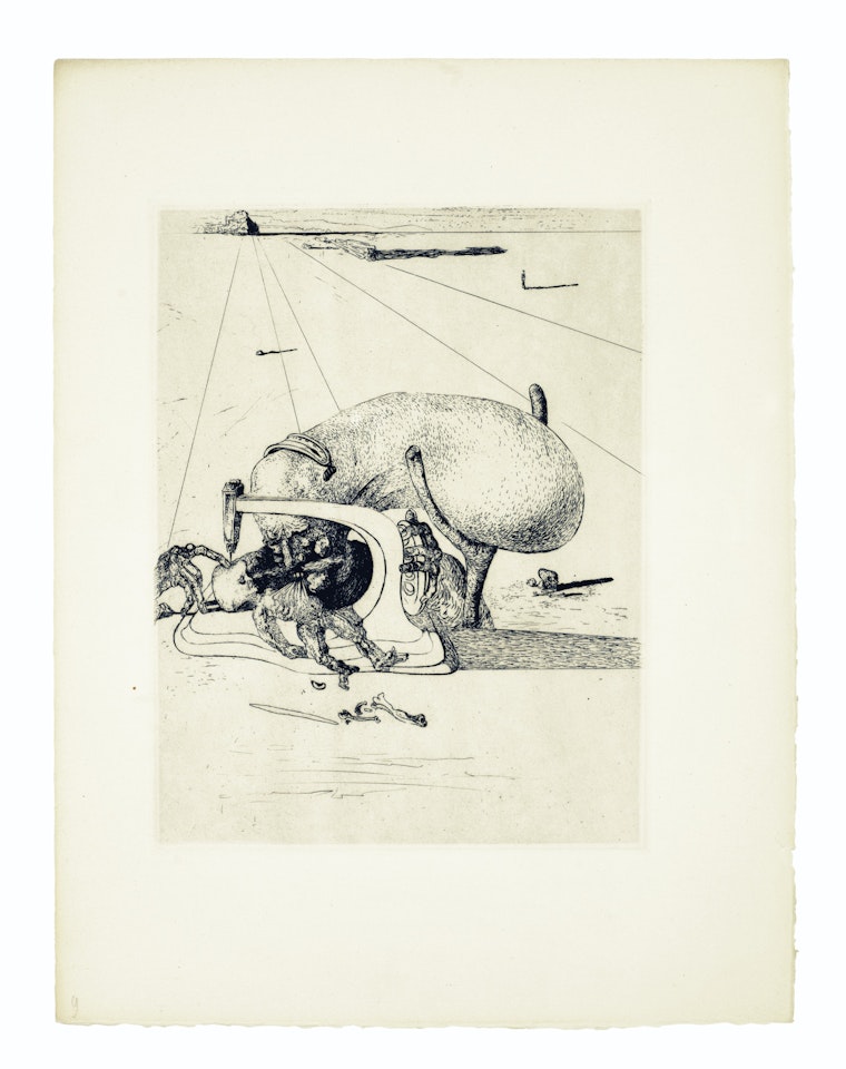 Les Chants de Maldoror: 22 prints by Salvador Dali