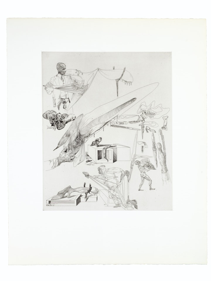 Crânes mous et harpe crânienne by Salvador Dali