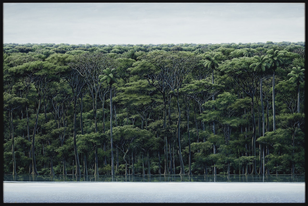 Orilla y cielo gris by Tomas Sanchez