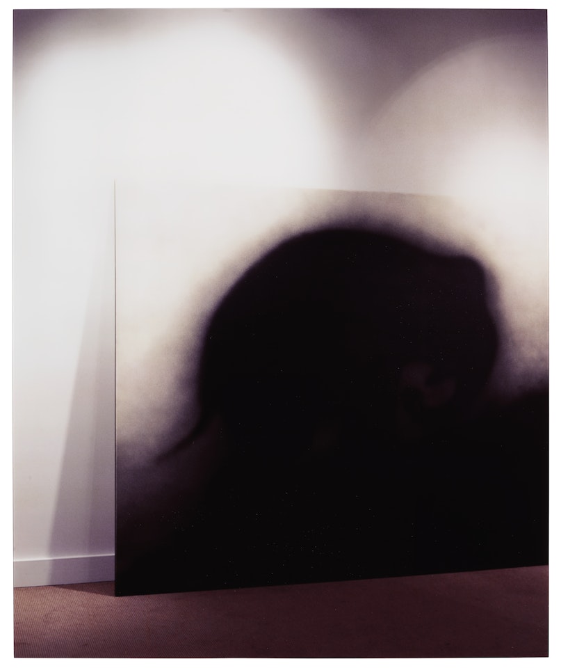 Keeping to Yourself by Louise Lawler