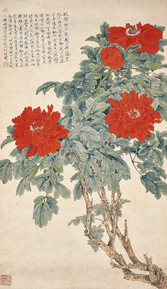 Peony by Yu Fei'an