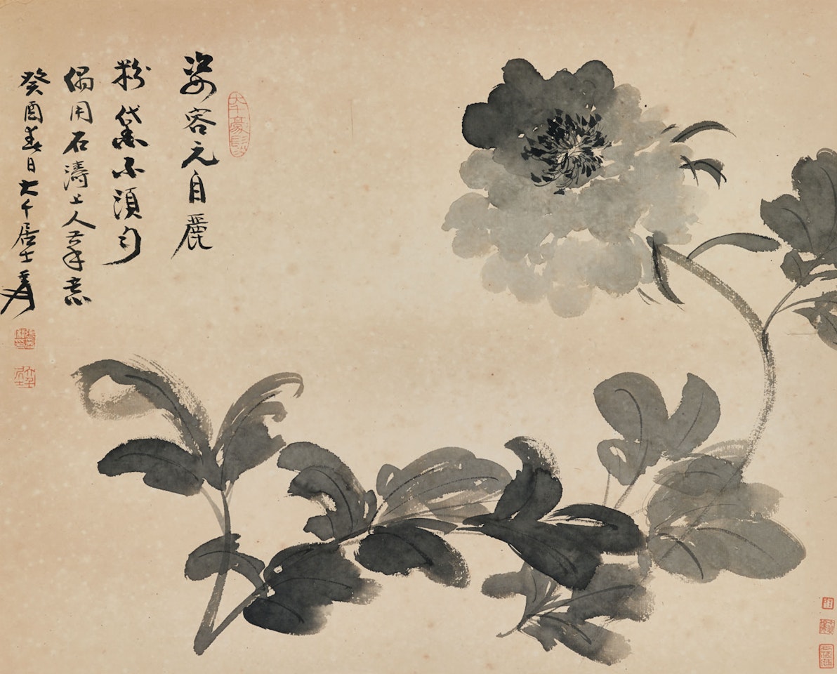 Ink Peony by Zhang Daqian