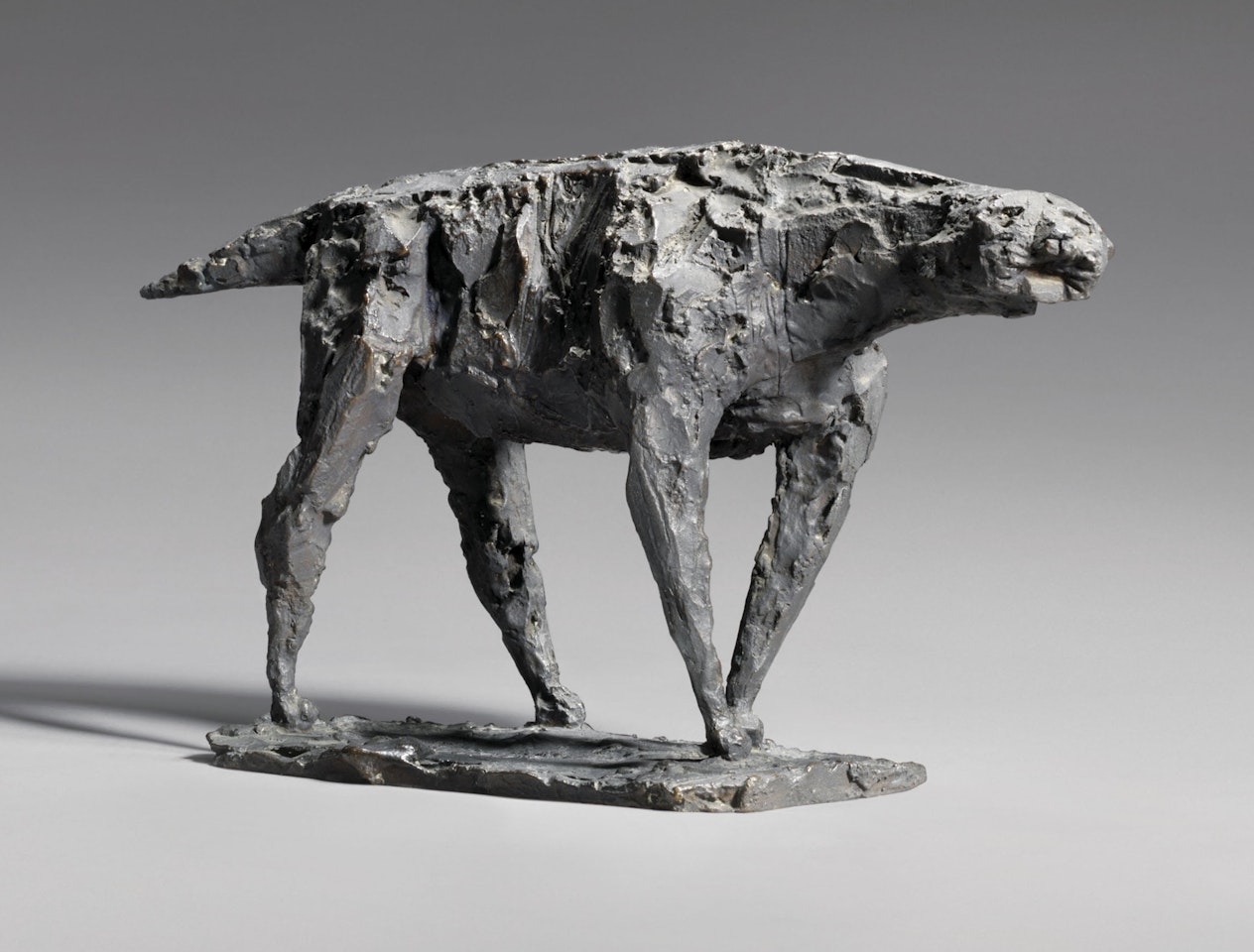Cat by Elisabeth Frink