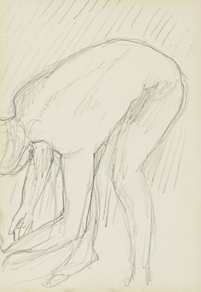 Nu à la toilette by Pierre Bonnard