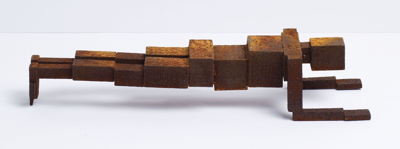 Meme LXXXVIII by Antony Gormley