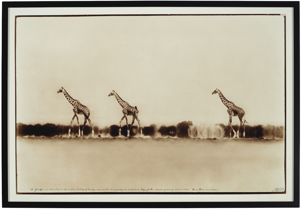 Giraffes in Mirage on the Taru Desert, Kenya by Peter Beard