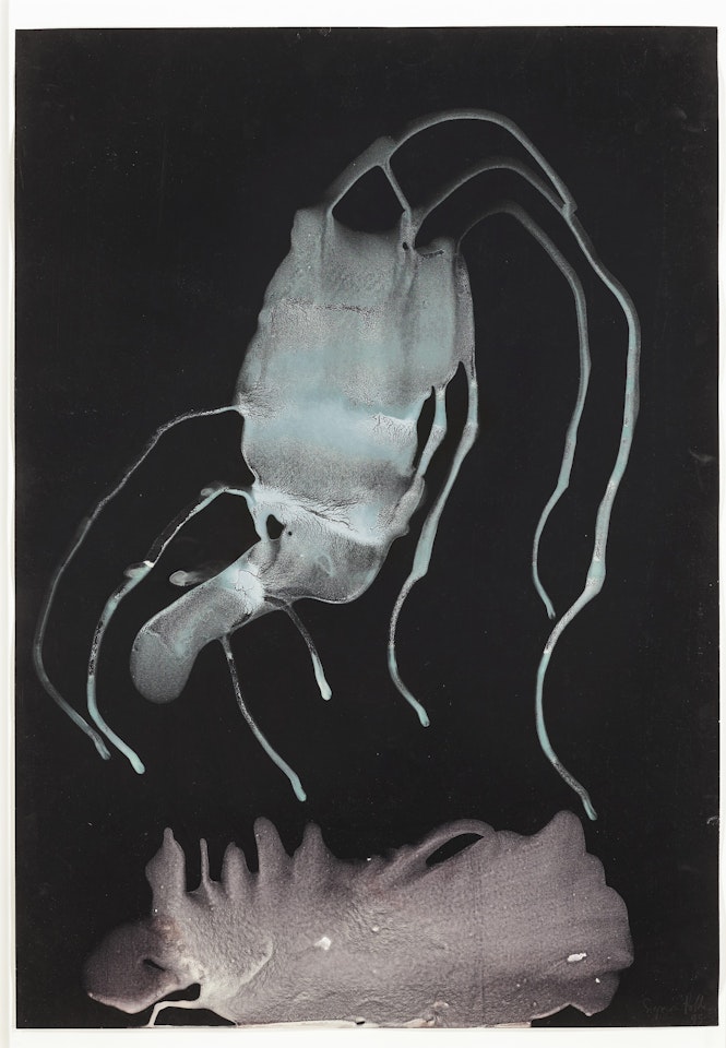 Untitled by Sigmar Polke