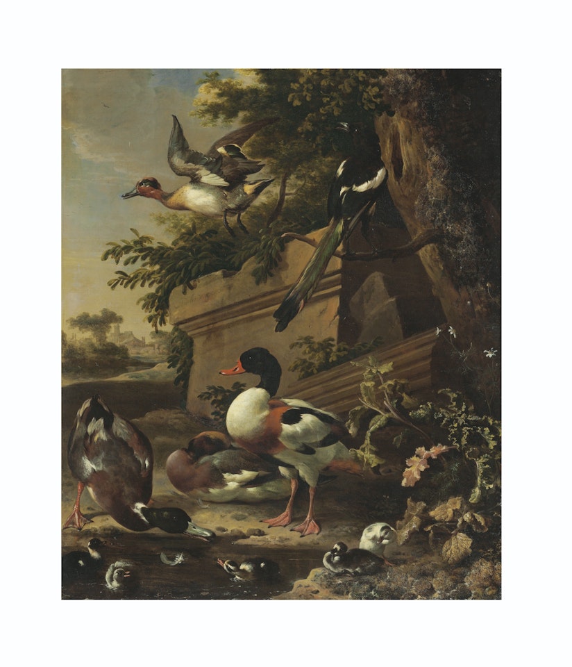Sheldrake ducks and ducklings with a magpie in a garden, a village beyond by Melchior de Hondecoeter