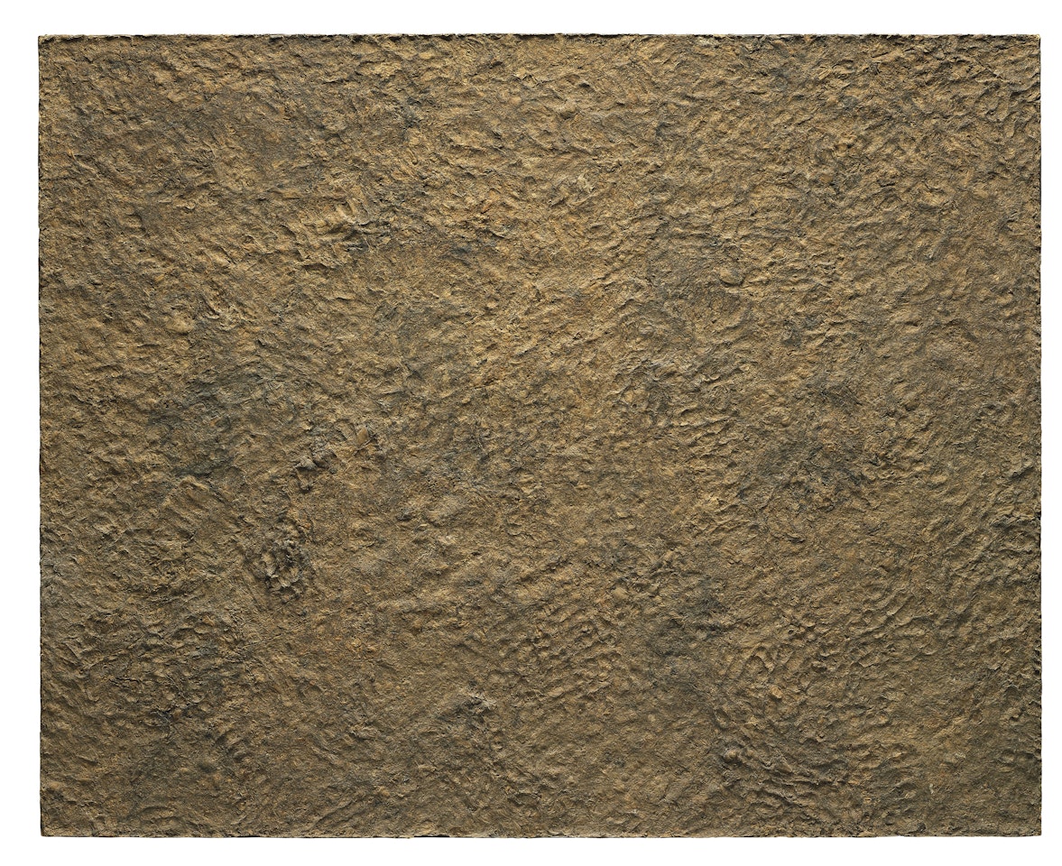 Joie de terre by Jean Dubuffet