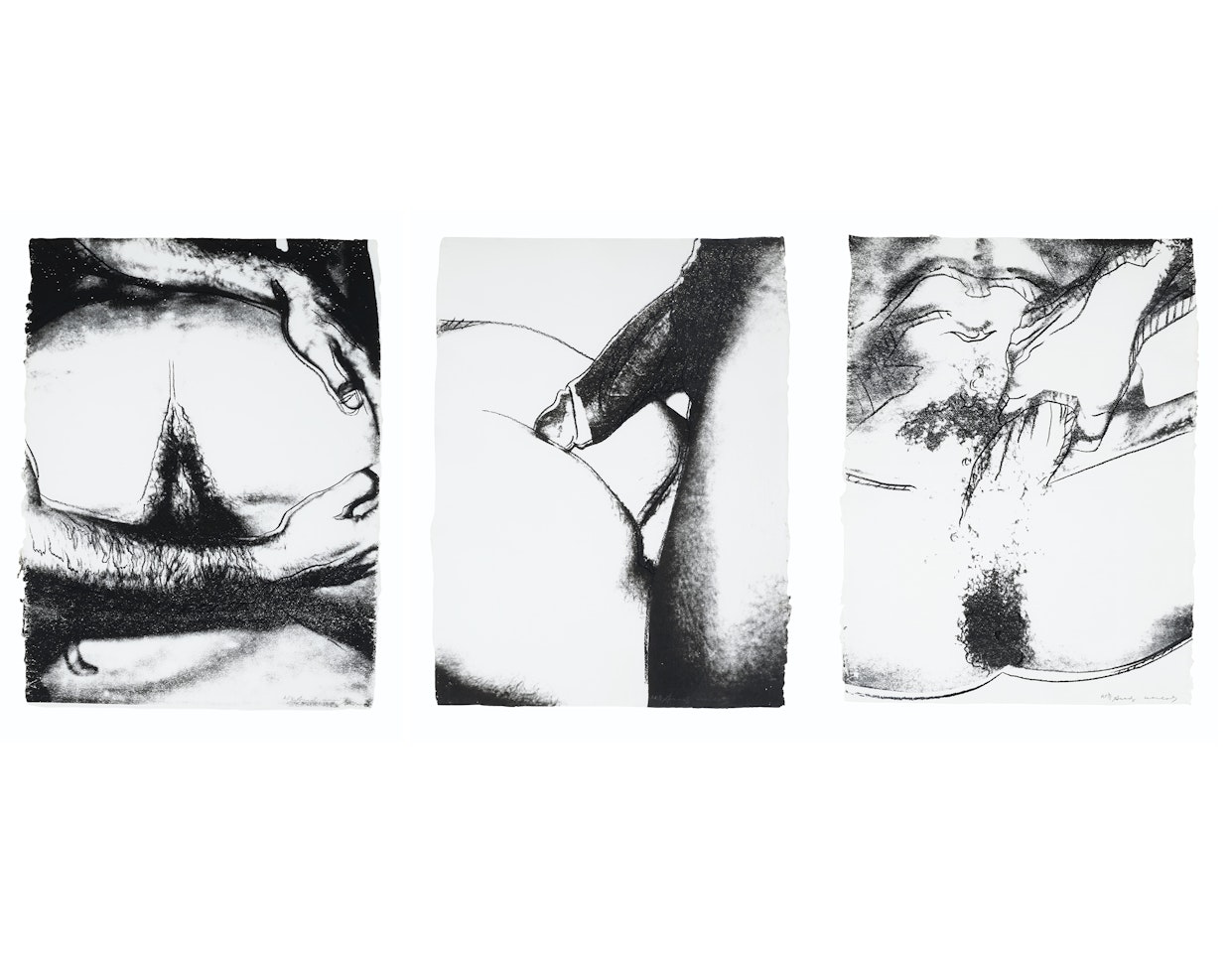 Sex Parts: three prints by Andy Warhol