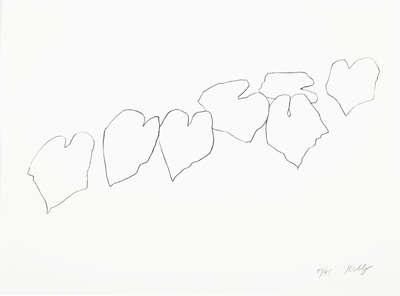 Wild Grape Leaves I, from Five Plant and Flower Lithographs by Ellsworth Kelly