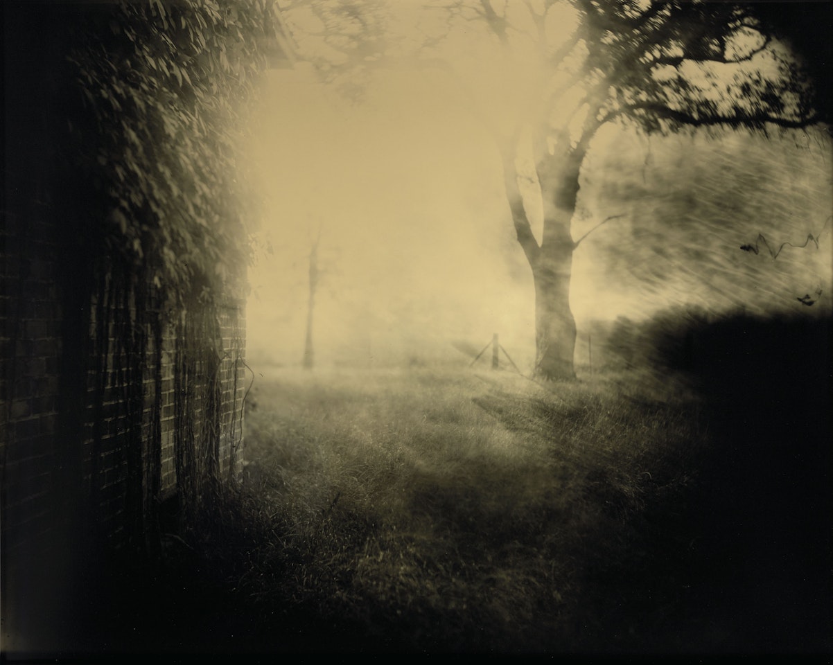 Deep South, Untitled by Sally Mann