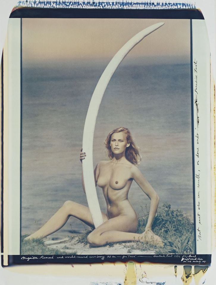 Magritte Rammé and World-Record Cow-Ivory 45 lbs. - For 'Tusk', Montauk Point by Peter Beard