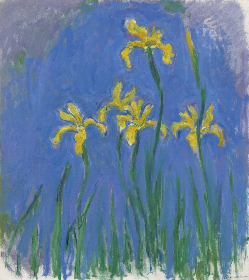 Iris by Claude Monet