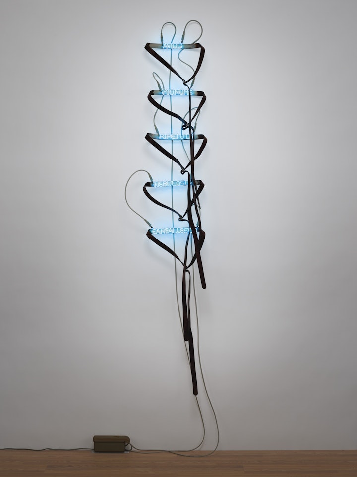 Cinghie [avido, mio nome, ripetuto, nebuloso, farfallesco] by Pier Paolo Calzolari