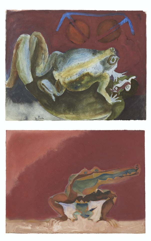 a) Otro lagarto
b) Mujer y rana by Francisco Toledo