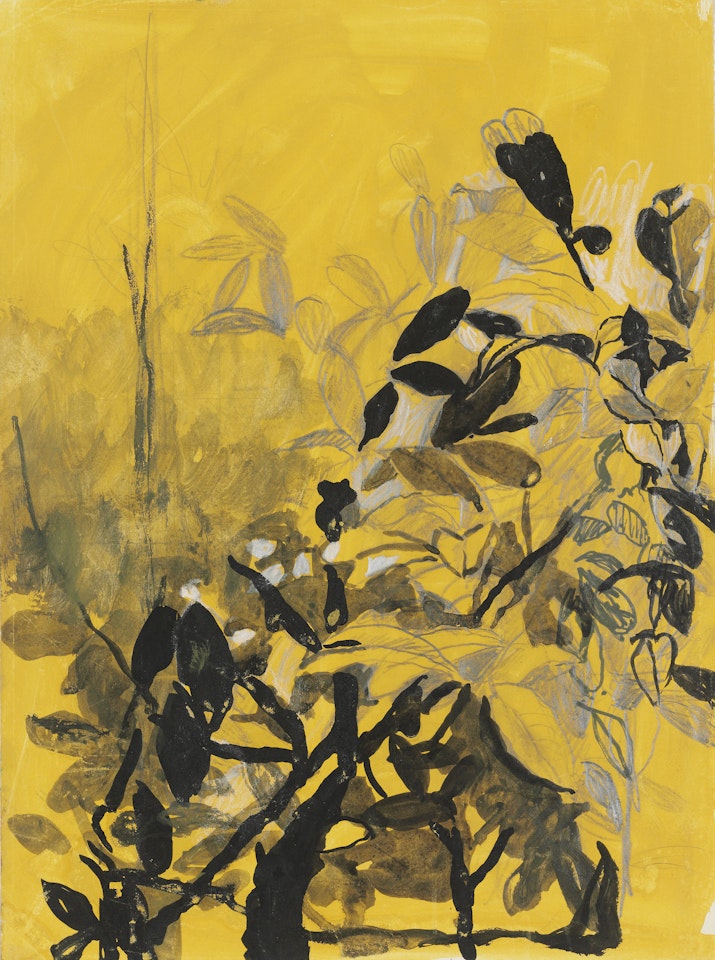 (i) Study for 'Leaves'; (ii) Study for 'Interior' by Graham Sutherland