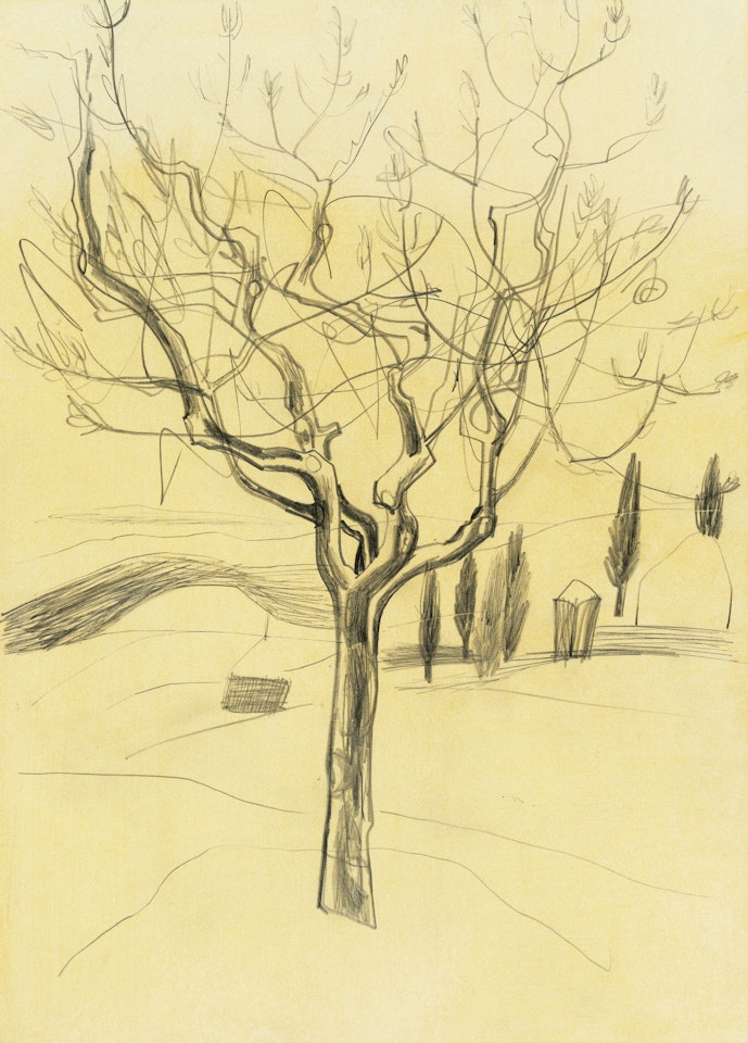 Oct 55 olive tree (Monte Oliveto) by Ben Nicholson, O.M.