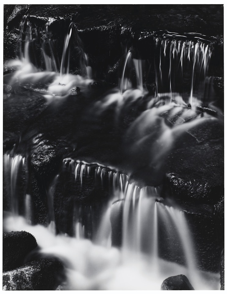 Fern Spring, Late Evening, Yosemite Valley, California, c. 1962 by Ansel Adams