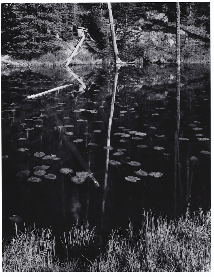 Pool, Yellowstone National Park, 1965 by Ansel Adams