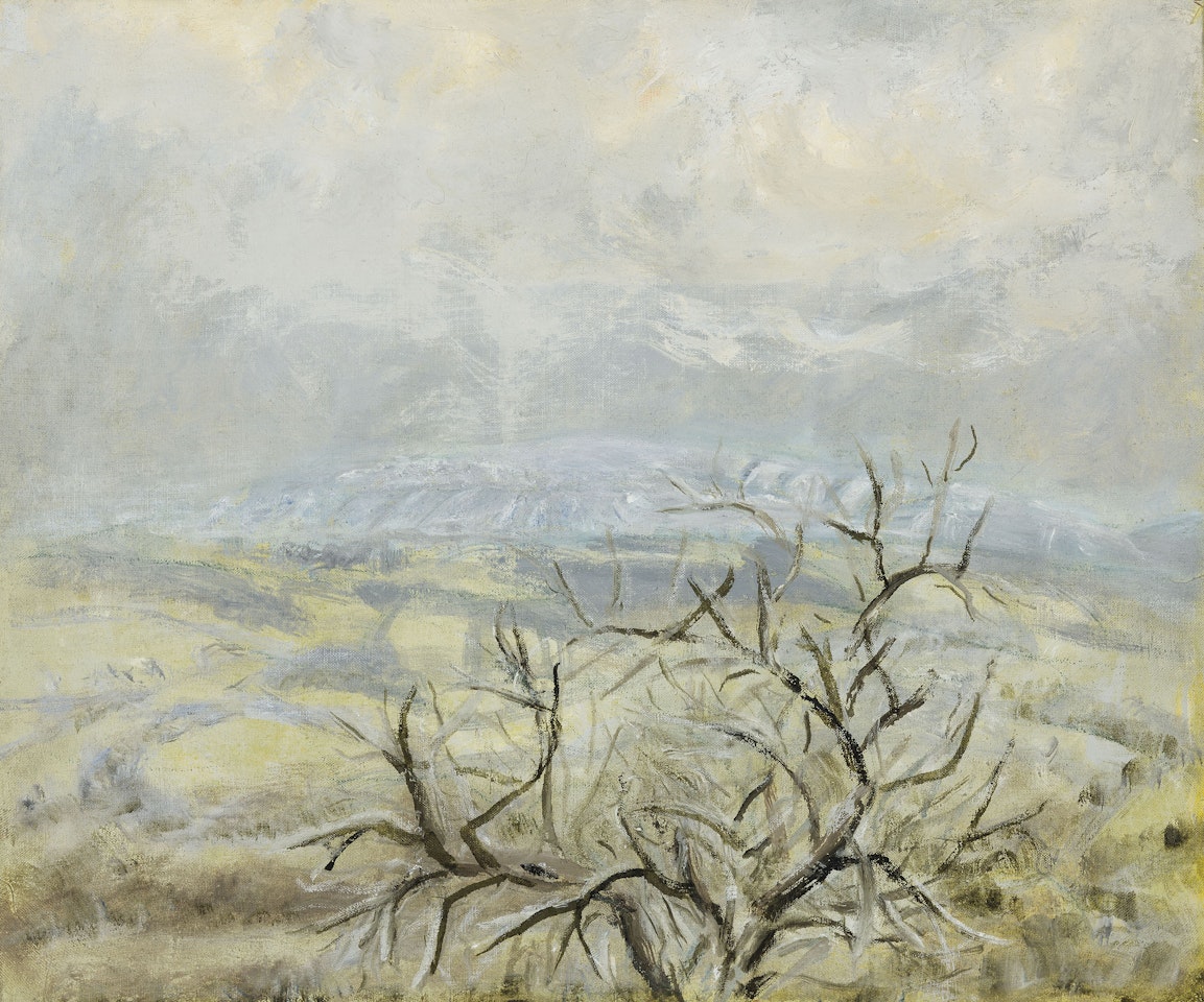 Plum Tree in January by Winifred Nicholson