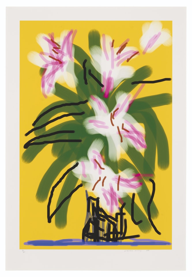 Lilies by David Hockney