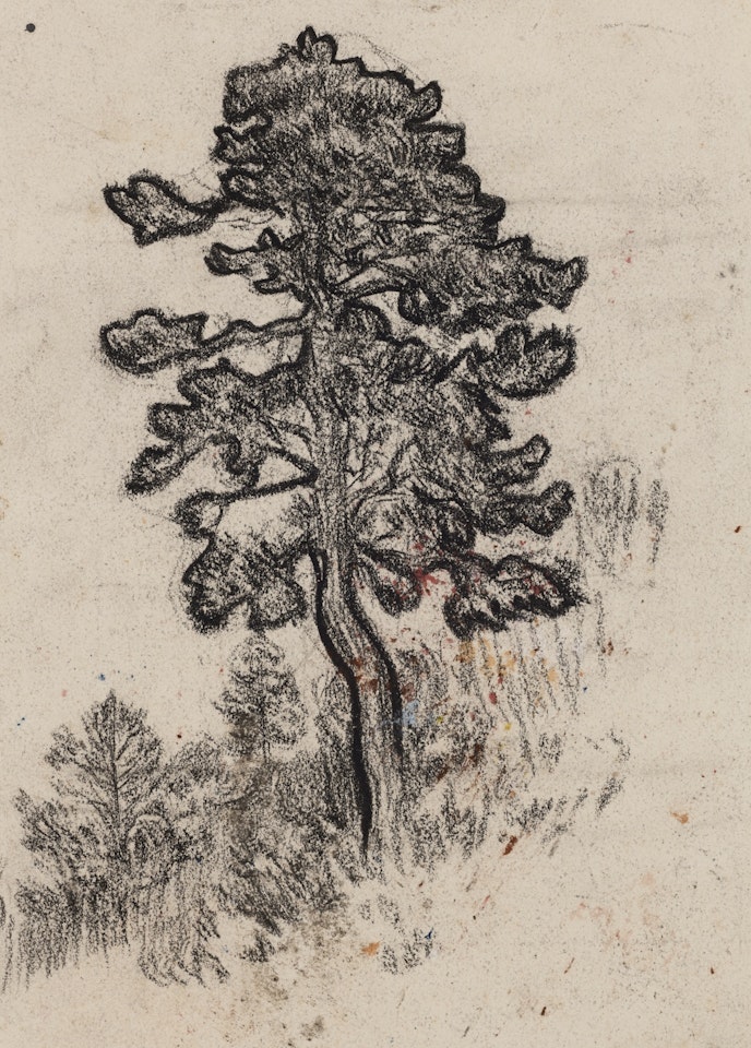 ARBRE - RECTO; ÉTUDES DE GITANE ESPAGNOLE - VERSO by Pablo Picasso